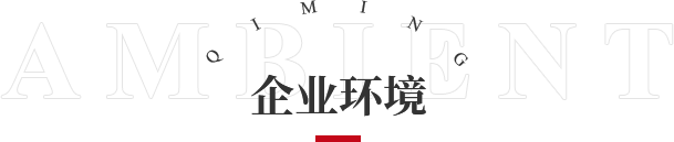 企業(yè)環(huán)境